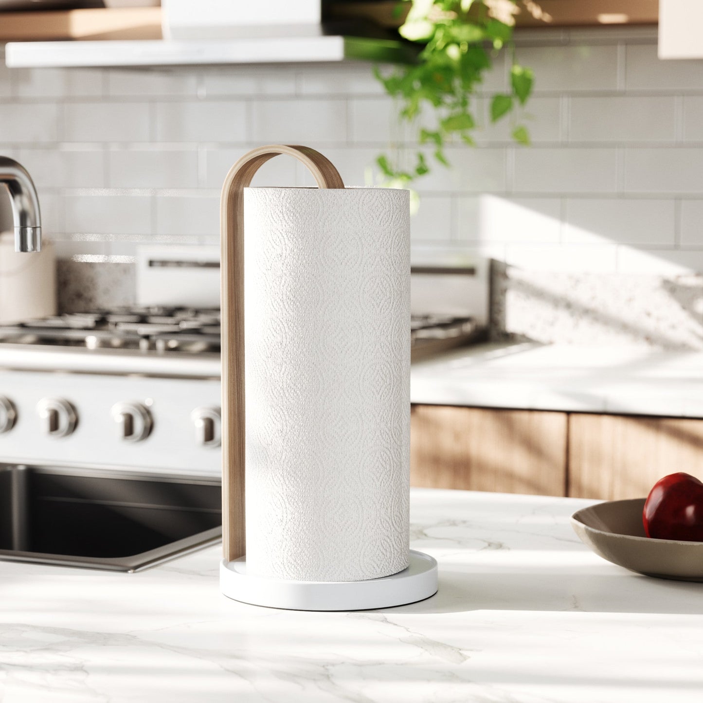 Paper Towel Holder