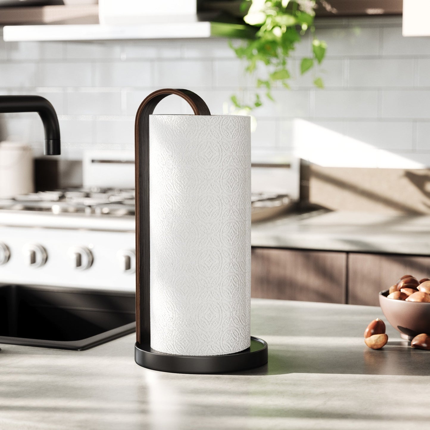 Paper Towel Holder